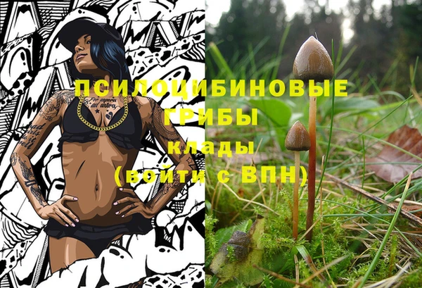 каннабис Аркадак