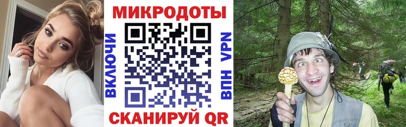 OMG ТОР  Нефтекамск  Галлюциногенные грибы Psilocybine cubensis  дарнет шоп 